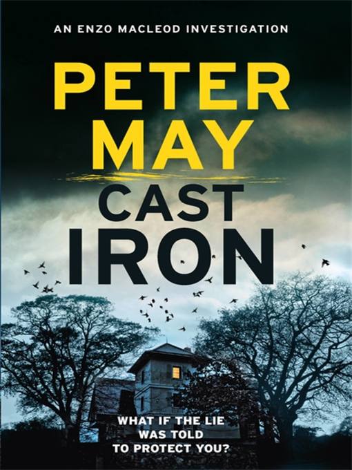 Title details for Cast Iron by Peter May - Available